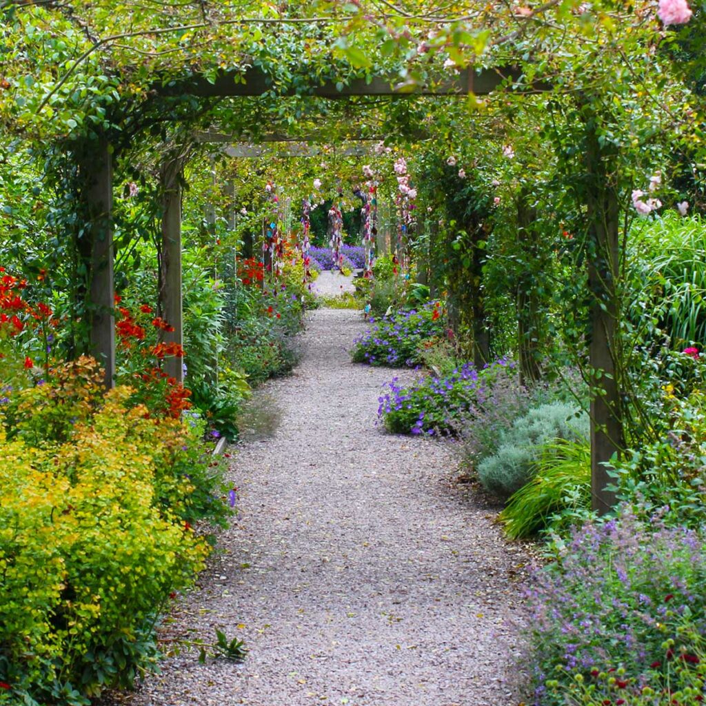 Herbaceous Border & Pergola