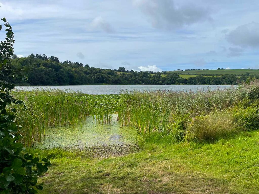 The lake at Blarney Castle